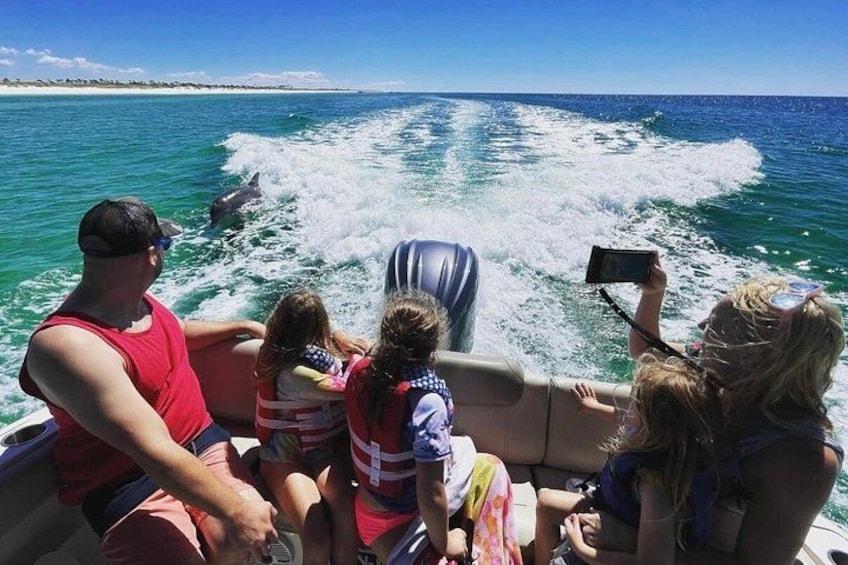 En familie på en båd, mens en delfin svømmer tæt forbi. 1