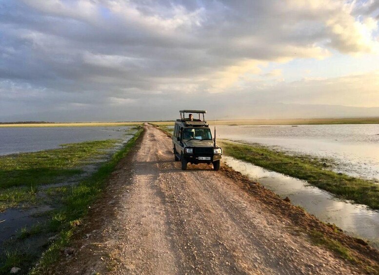 Picture 68 for Activity Amboseli National Park: Private Game Drive with Lunch 3