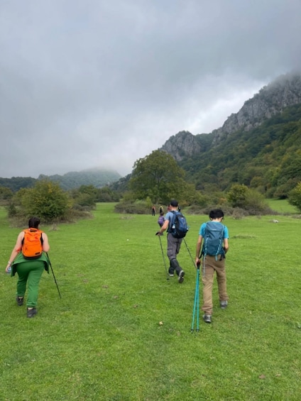 Hikers walking on a grassy path with mountains in the background. 4