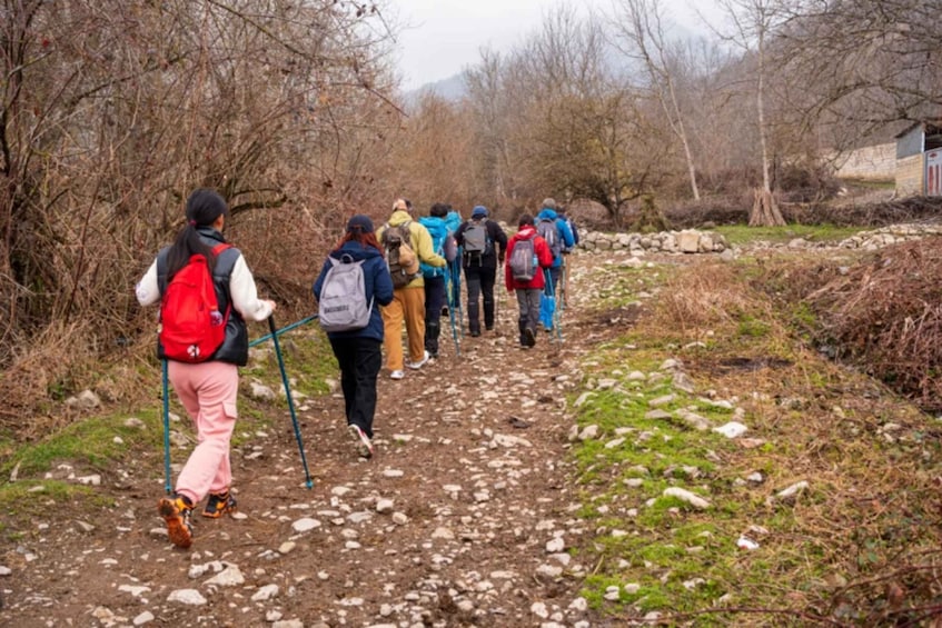 A group of hikers on a rocky trail surrounded by leafless trees and a stone wall. 1
