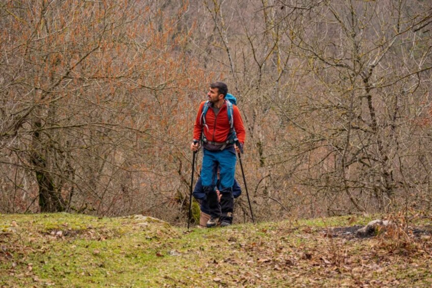 A hiker in a forest with a backpack and walking poles. 3
