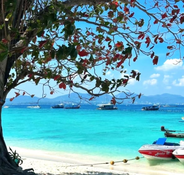 Picture 13 for Activity Phuket: Coral Island Laid-Back Morning Tour with Snorkeling 2