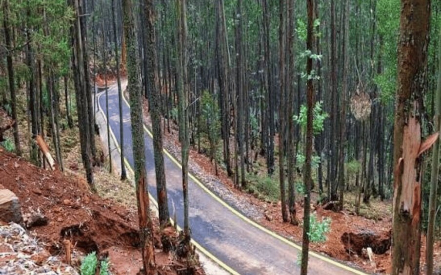 A forested area with a winding road. 3