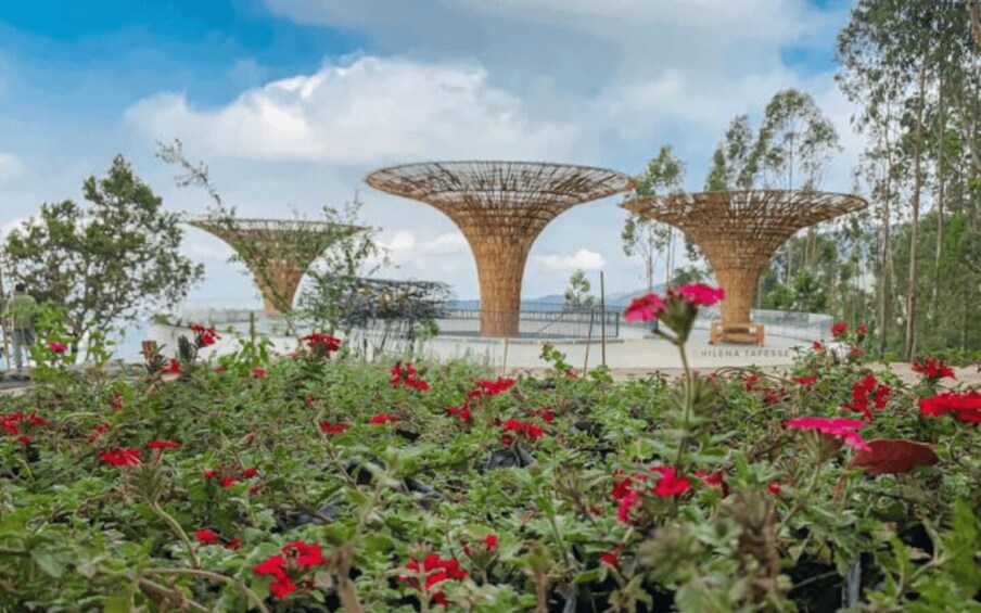 A garden with red flowers and three large, open-top structures. 4
