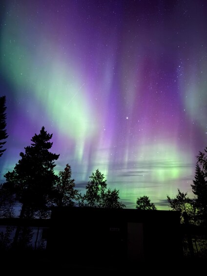 Des aurores boréales au-dessus d’un paysage boisé. 4