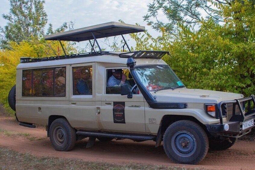A safari vehicle with a roof rack and a side panel displaying 'ZAMARA RICH.' 2