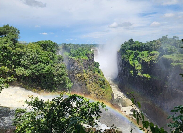 A waterfall surrounded by lush greenery and a visible rainbow. 3