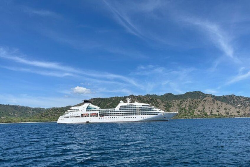 Top Komodo Island Shore Tour for passengers of Cruise Ship 4