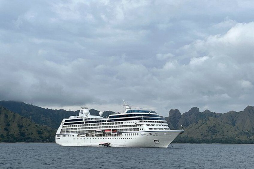 Top Komodo Island Shore Tour for passengers of Cruise Ship 3