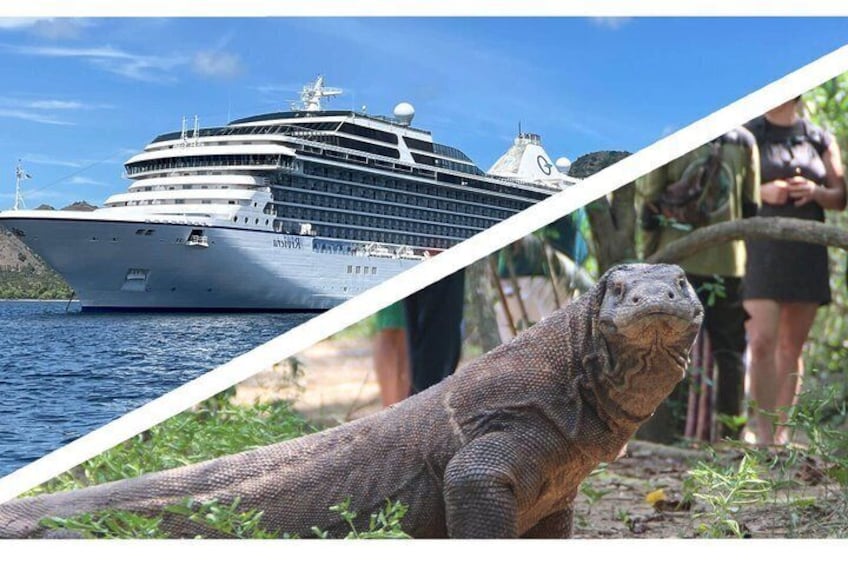 A large cruise ship, a person, and a Komodo dragon. 1