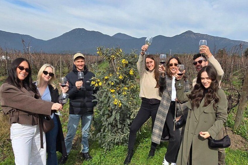 Emiliana Organic Winery. 4