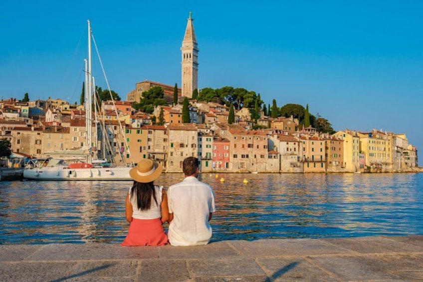 Rovinj Dolphin Watching Private Shore Tour (2 Hours) 5