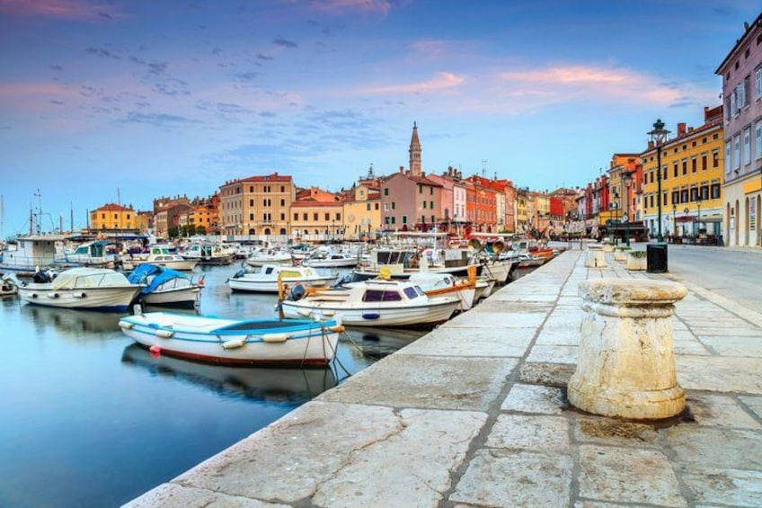 Rovinj Dolphin Watching Private Shore Tour (2 Hours) 2