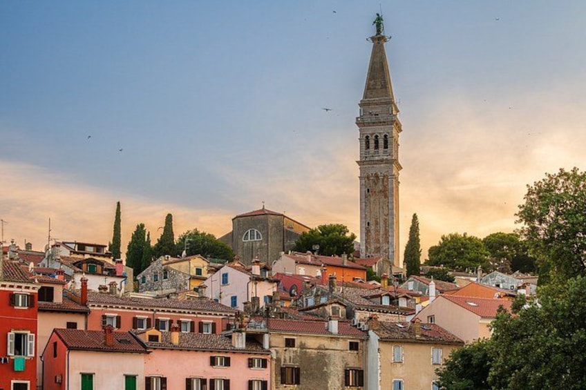 Rovinj Dolphin Watching Private Shore Tour (2 Hours) 4