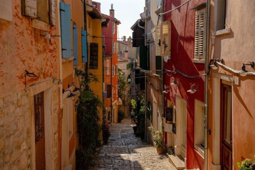 Rovinj Dolphin Watching Private Shore Tour (2 Hours) 3