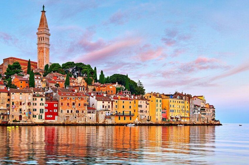 Rovinj Dolphin Watching Private Shore Tour (2 Hours) 1