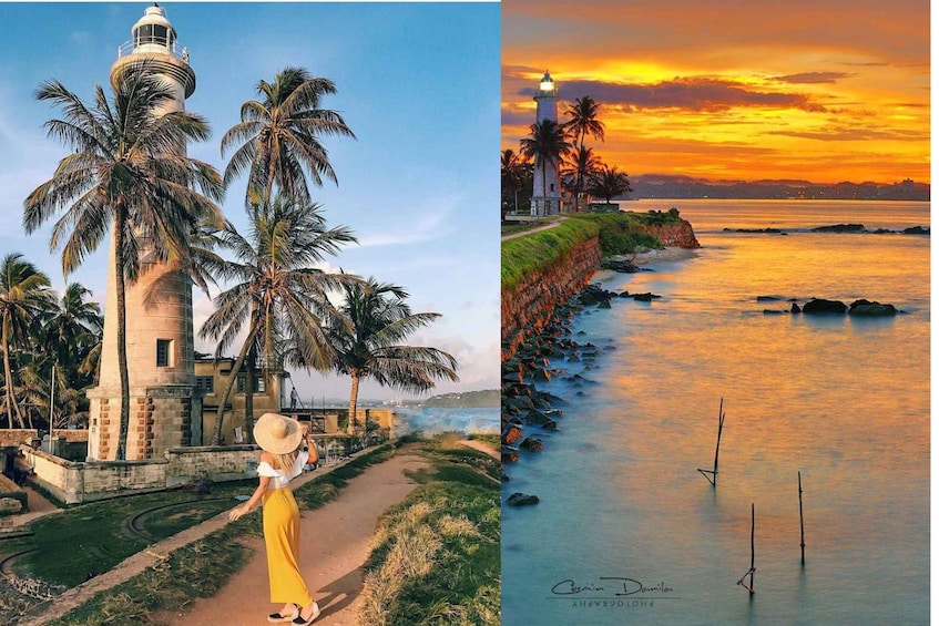 A lighthouse, palm trees, and a sunset over the ocean. 4
