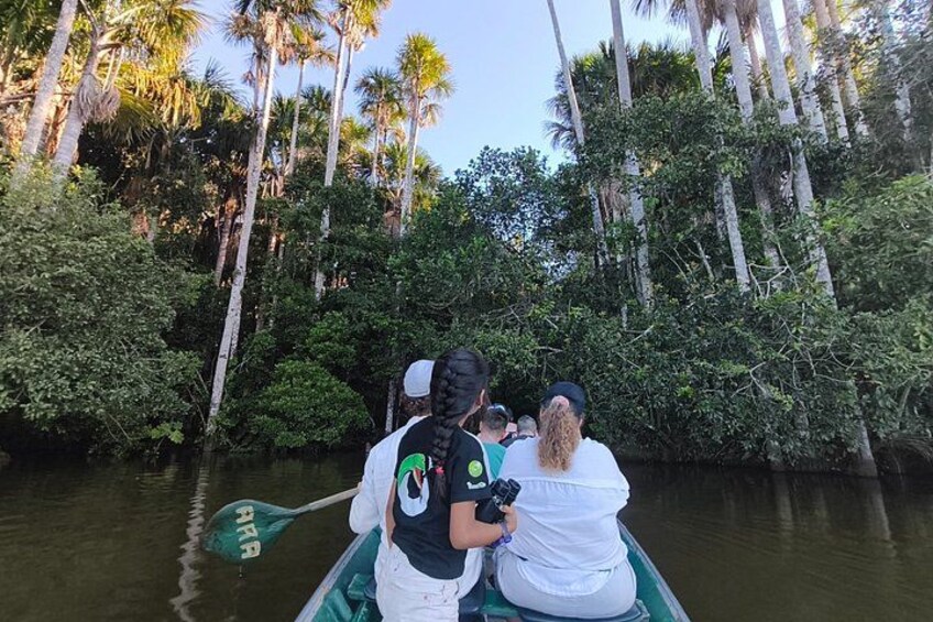 Un grupo de personas en una barca en un río rodeado de vegetación densa y altos árboles. 2