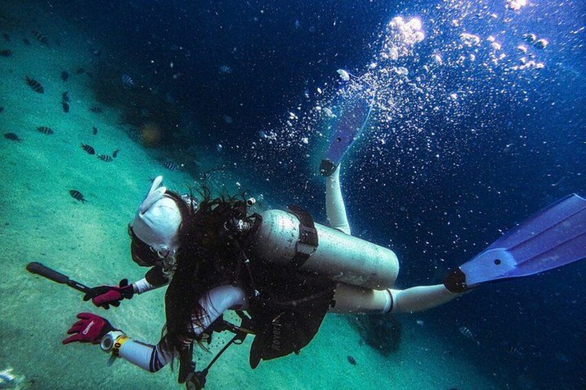 Phu Quoc Explore Islands and Diving or Snorkeling 5