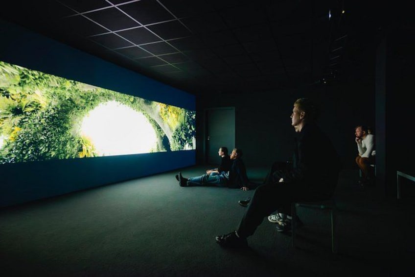 A dark room with a large screen displaying a bright image of a forest. 4