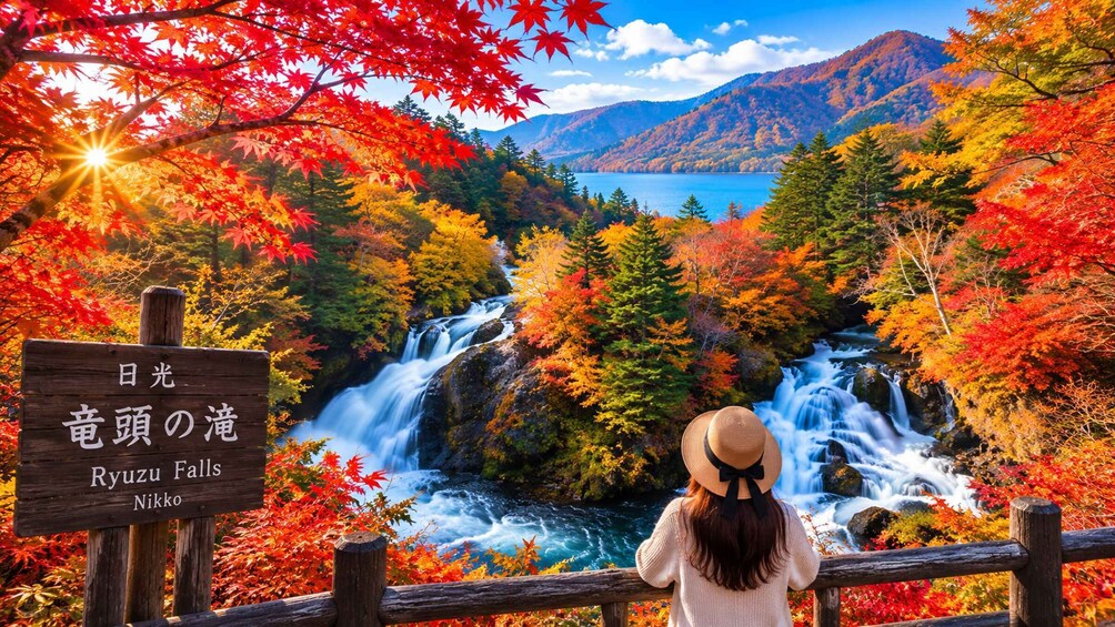 From Tokyo: Private Nikko World Heritage & Scenic Tour 2