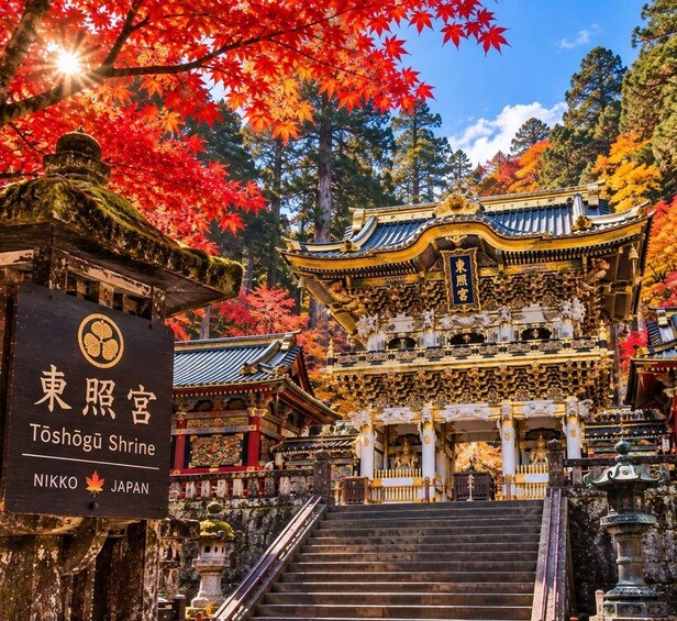 A traditional Japanese shrine with golden architecture, surrounded by autumn foliage. 3