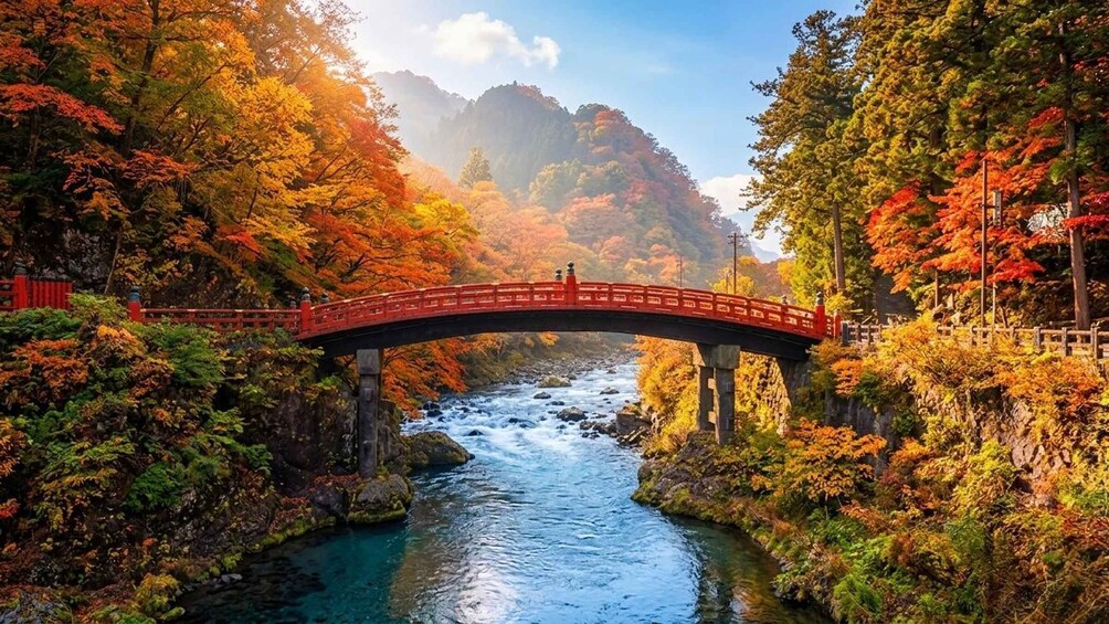 Nikko Private Tour: Toshogu Shrine, Kegon Falls & Chuzenji 2