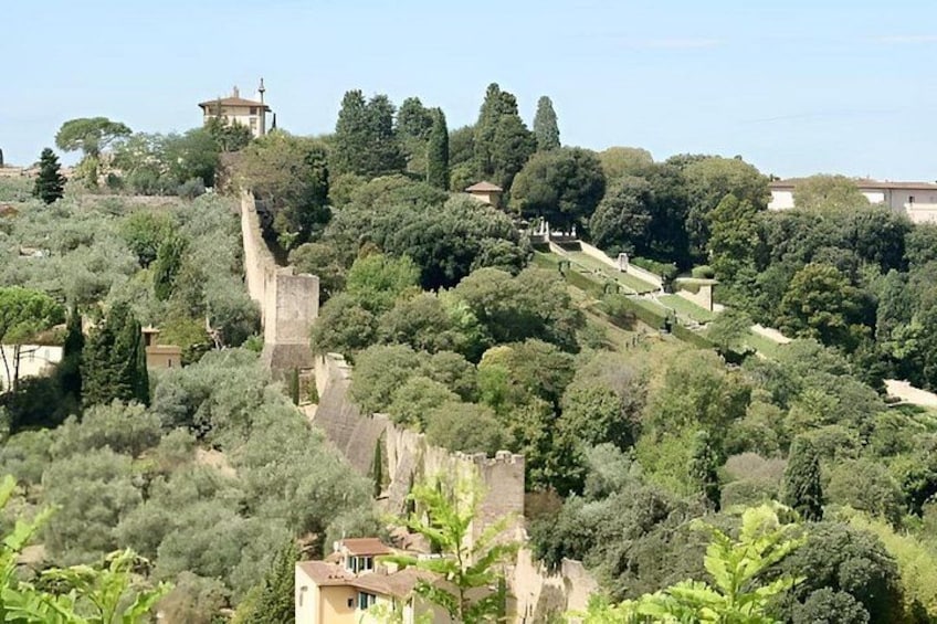 A hill with a stone wall, trees, and a building in the background. 4