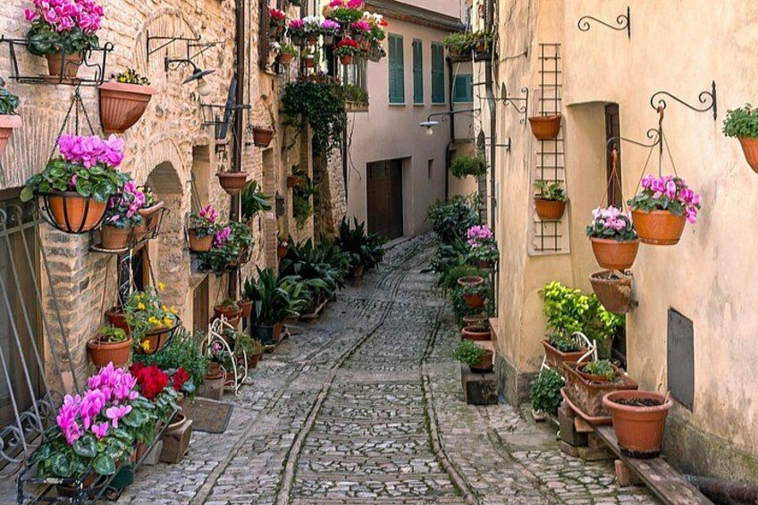 Private Tour to Orvieto and Civita di Bagnoregio 4