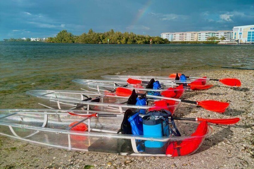 Transparent kayaks with red paddles on a pebbly shore by a body of water with buildings in the background. 5