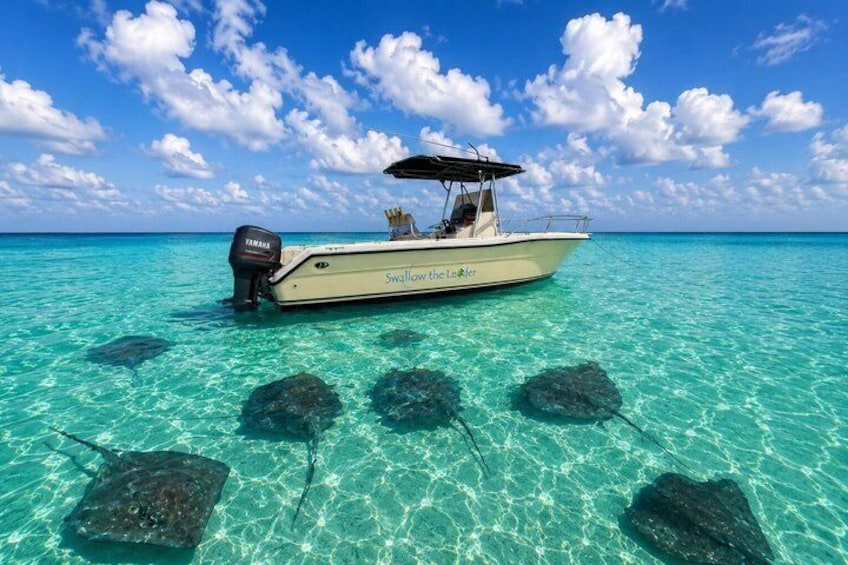 Private Reef Fishing and Snorkeling Adventure 2
