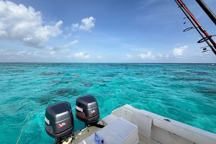 Private Reef Fishing and Snorkeling Adventure 5
