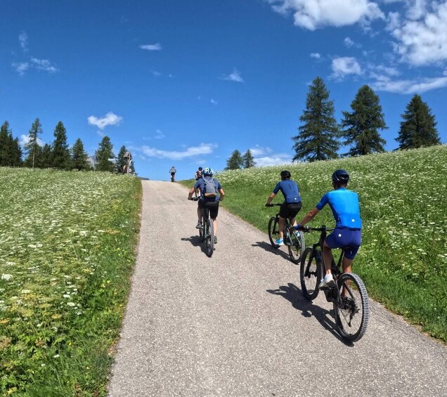 Picture 4 for Activity Dolomites: Thrills on an e-MTB among dreamy landscapes and authentic flavors 4