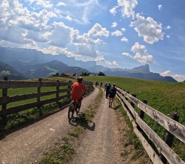 Picture 15 for Activity Dolomites: Thrills on an e-MTB among dreamy landscapes and authentic flavors 5