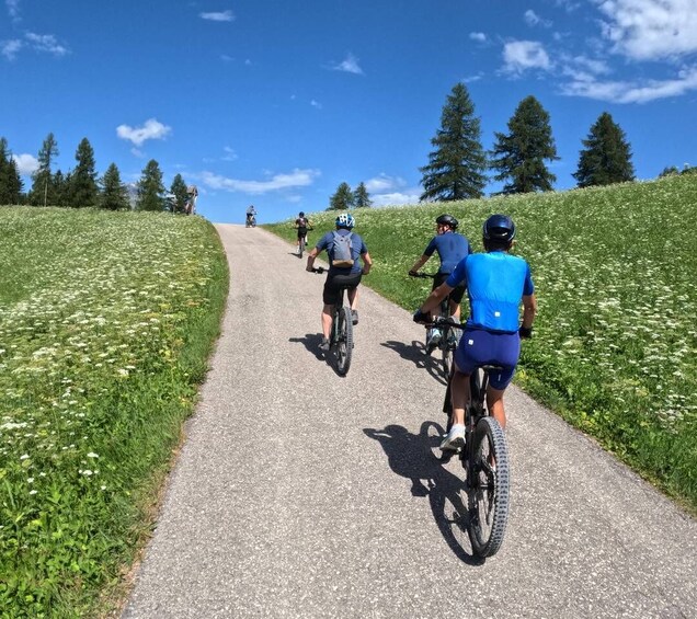 Picture 17 for Activity Dolomites: Thrills on an e-MTB among dreamy landscapes and authentic flavors 5