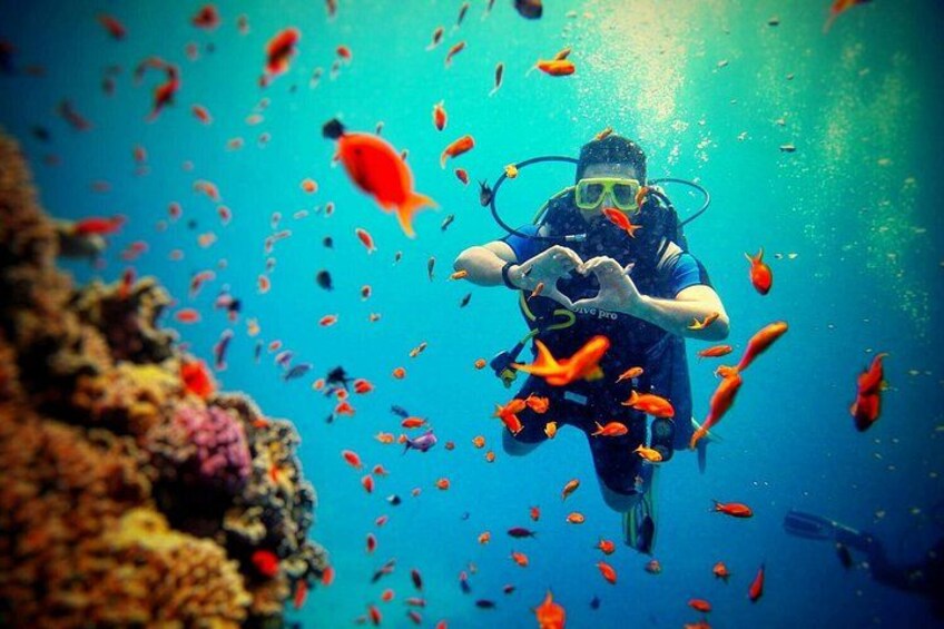 Scuba Diving Adventure in Rhodes with Free Transfers 1