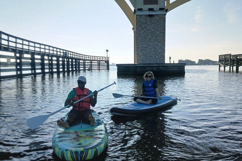 Dolphin and Manatee Paddleboard Adventure in Daytona 5