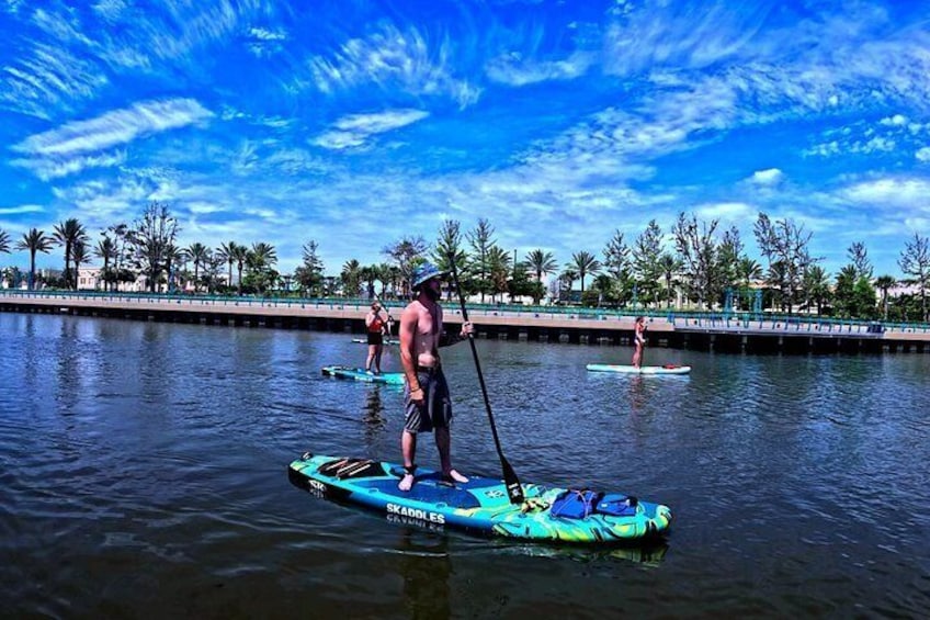 Dolphin and Manatee Paddleboard Adventure in Daytona 3