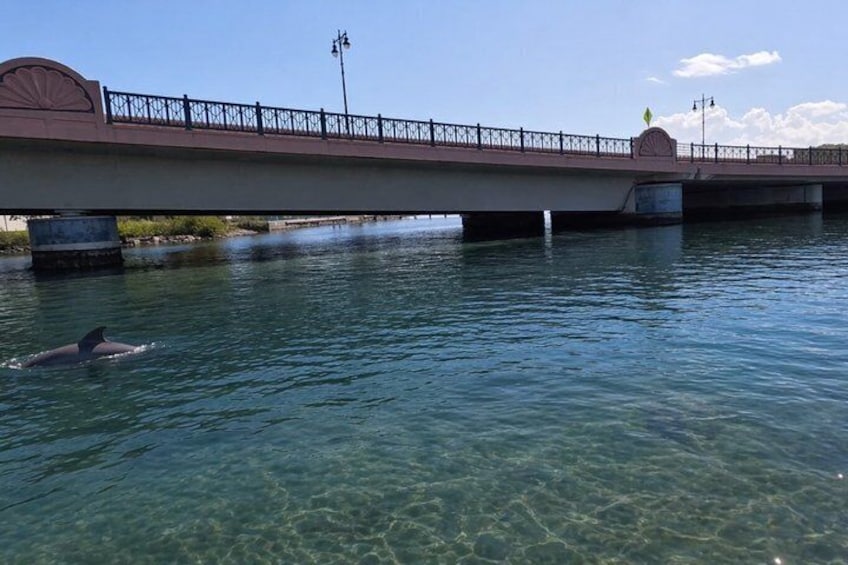 A bridge over water with a person swimming. 4