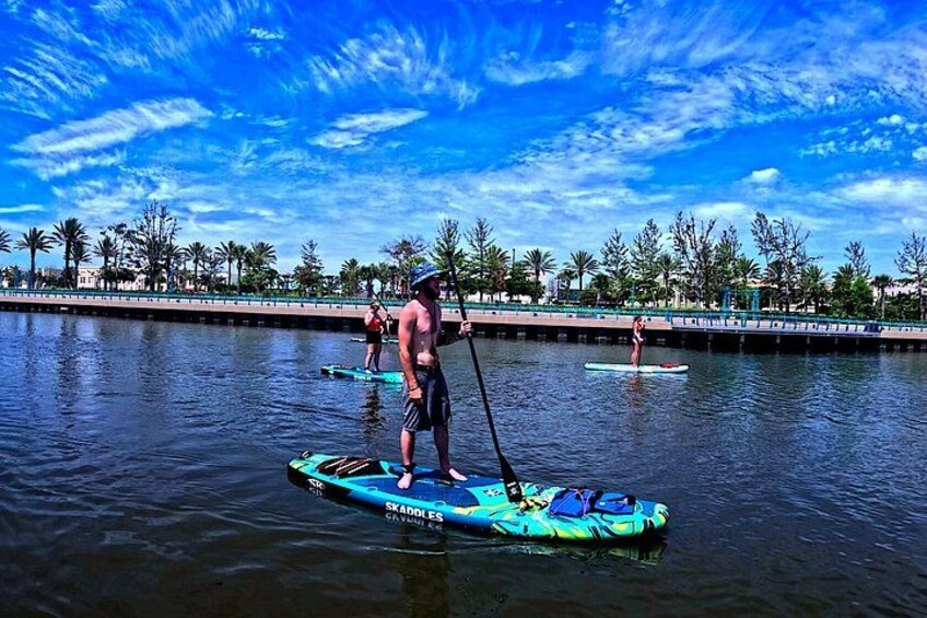 Dolphin and Manatee Paddleboard Adventure in Daytona 3