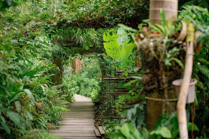 Koh Samui Tree Bridge Zipline and Jungle Cafe with Hotel Transfer 2