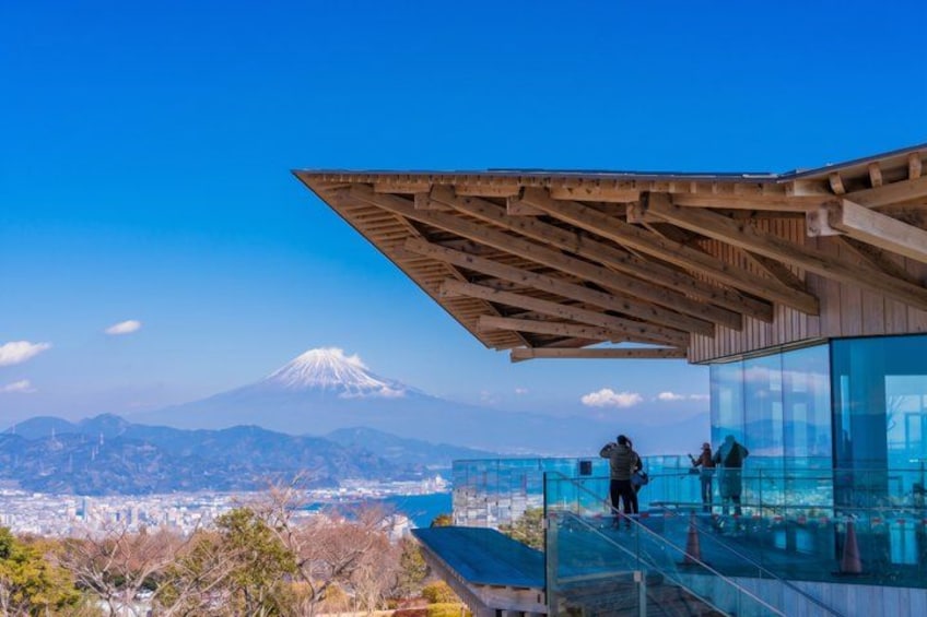 Un edificio de vidrio con techo de madera que ofrece vistas a una ciudad y una montaña. 5