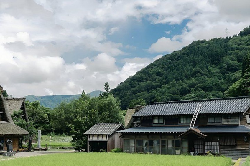 Traditional Japanese houses with tiled roofs, surrounded by lush greenery and mountains in the background. 5