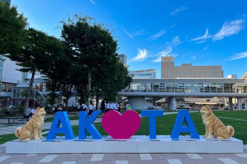Akita Private Custom Tour with Local Guide 4