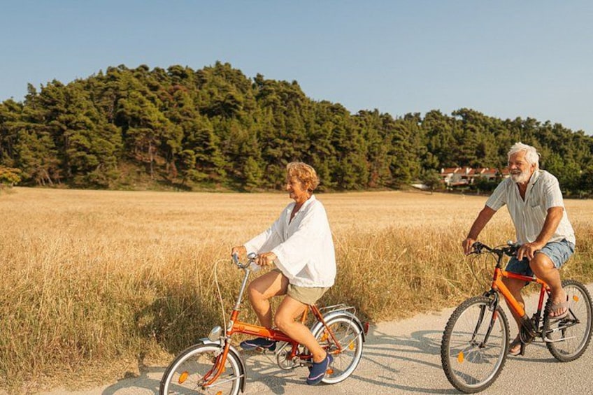 Private E Bike Wine Tour in Korcula 5