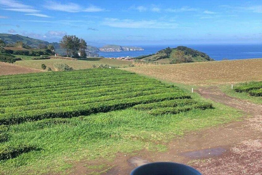 São Miguel : Furnas, Thermal Waters and Gorreana Tea 2