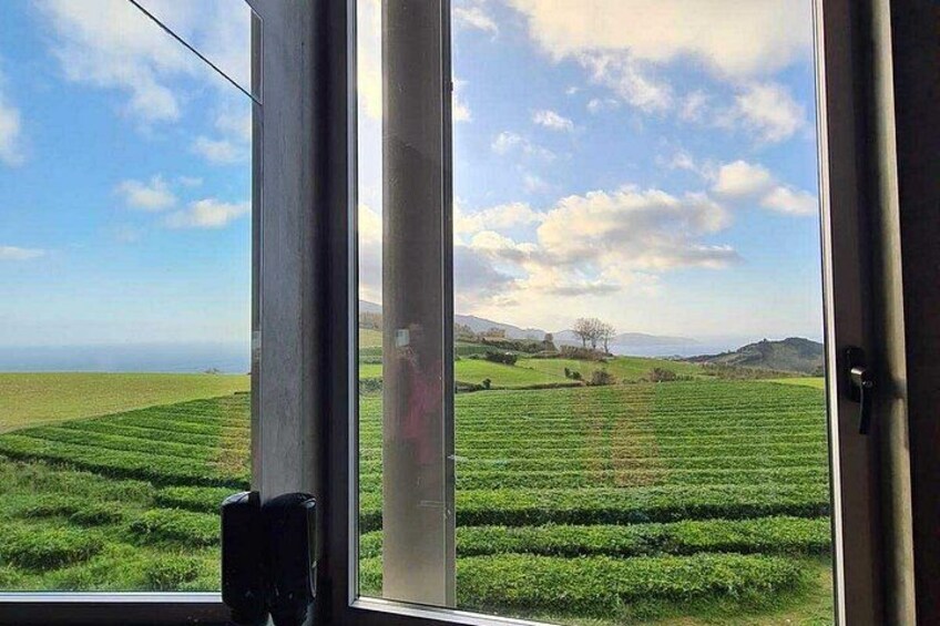 Uitzicht op een groen veld met een heldere lucht en verre bergen. 2