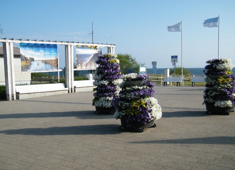 A coastal area with a pavilion displaying a mural, three flower arrangements, and a flagpole with a flag. 5