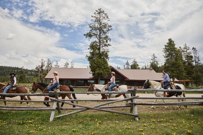 Jackson Hole Horseback Riding & Lunch in Bridger Teton NF 2