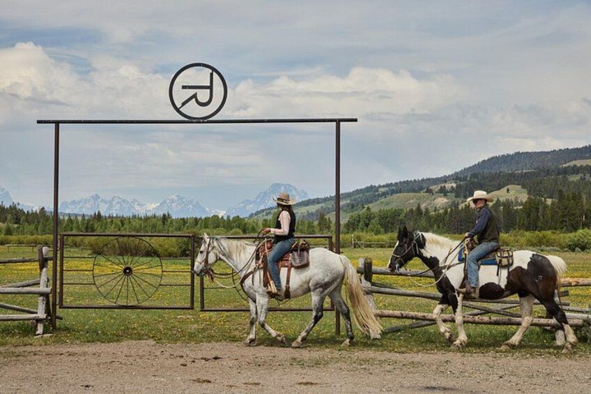 Jackson Hole Horseback Riding & Lunch in Bridger Teton NF 3